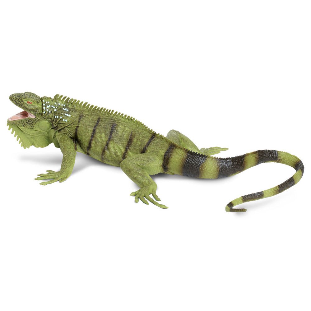 safari-ltd-figura-iguana