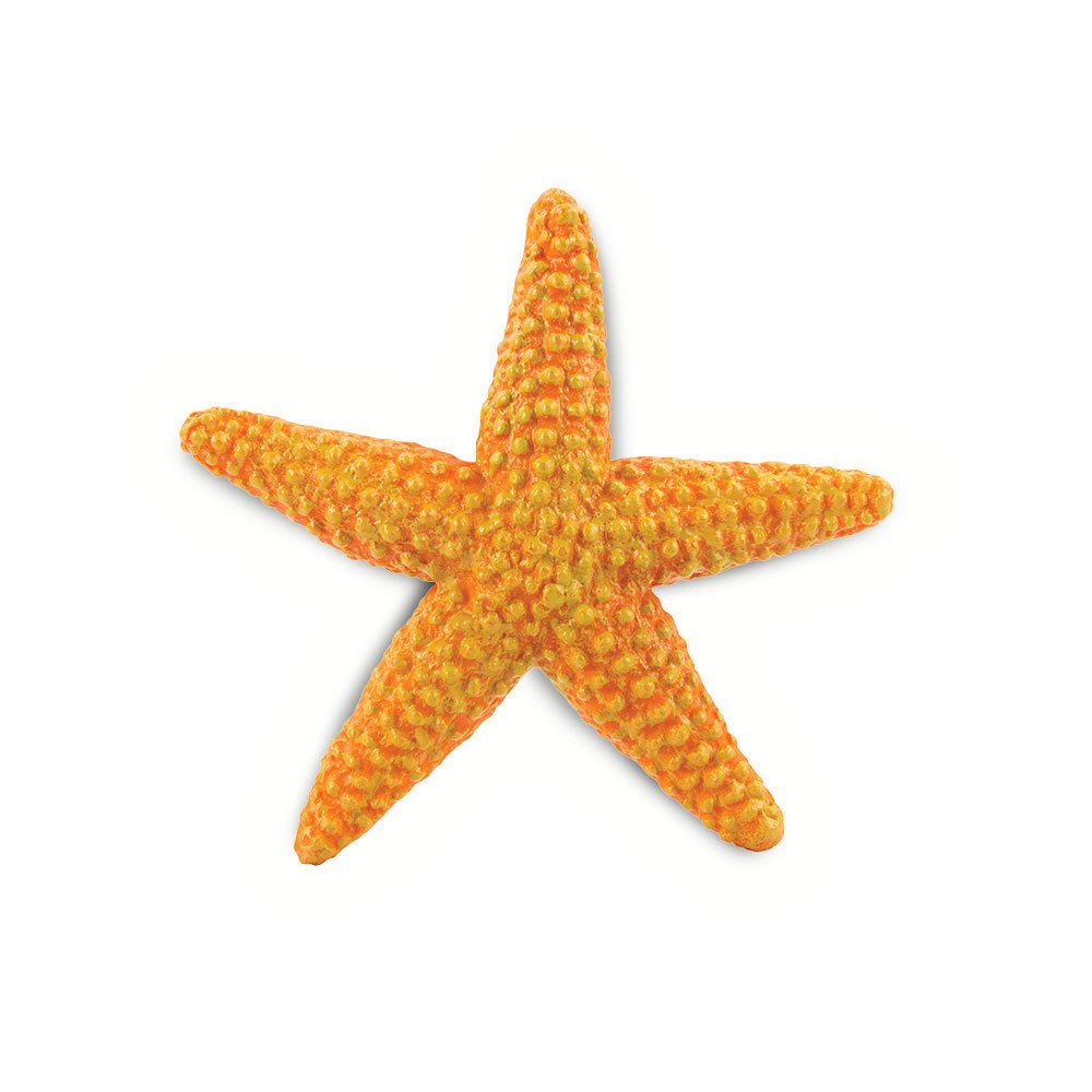safari-ltd-karakter-starfish-sea-life