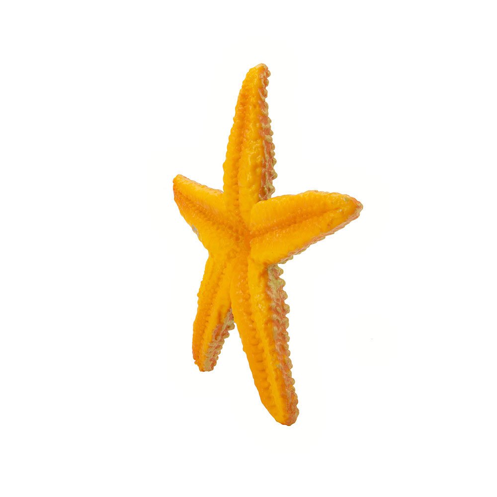 Safari ltd Karakter Starfish Sea Life