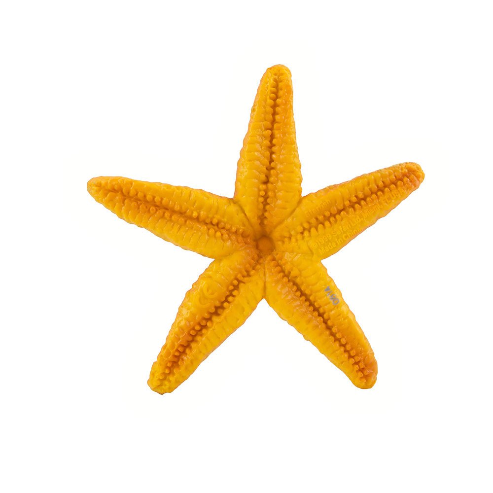 Safari ltd Starfish Sea Life Bary Aero