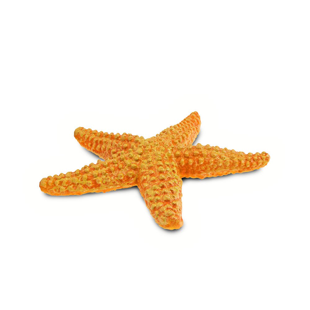 Safari ltd Karakter Starfish Sea Life
