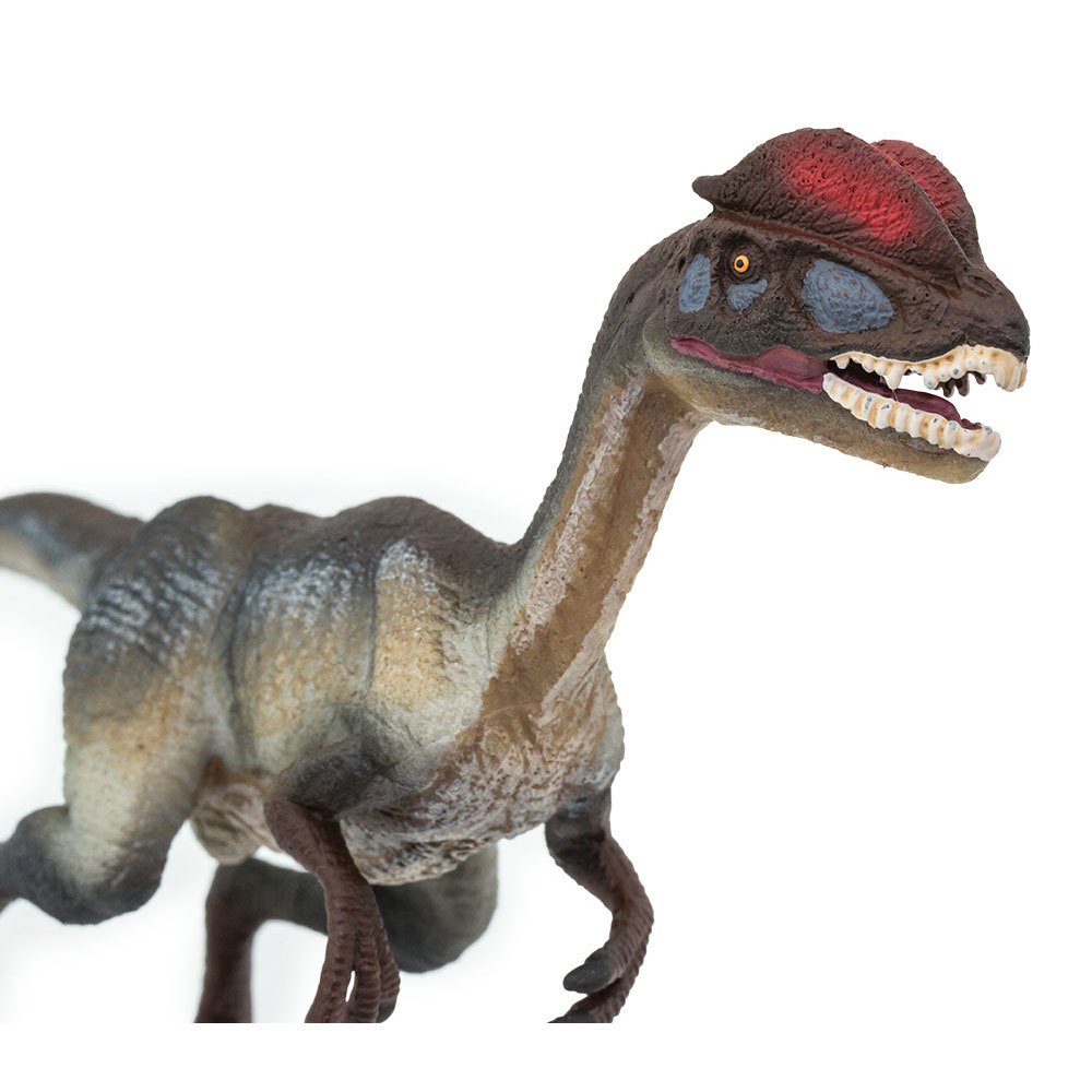 #SAF287829 Safari Ltd Dilophosaurus Ws PrehistoricWorld 