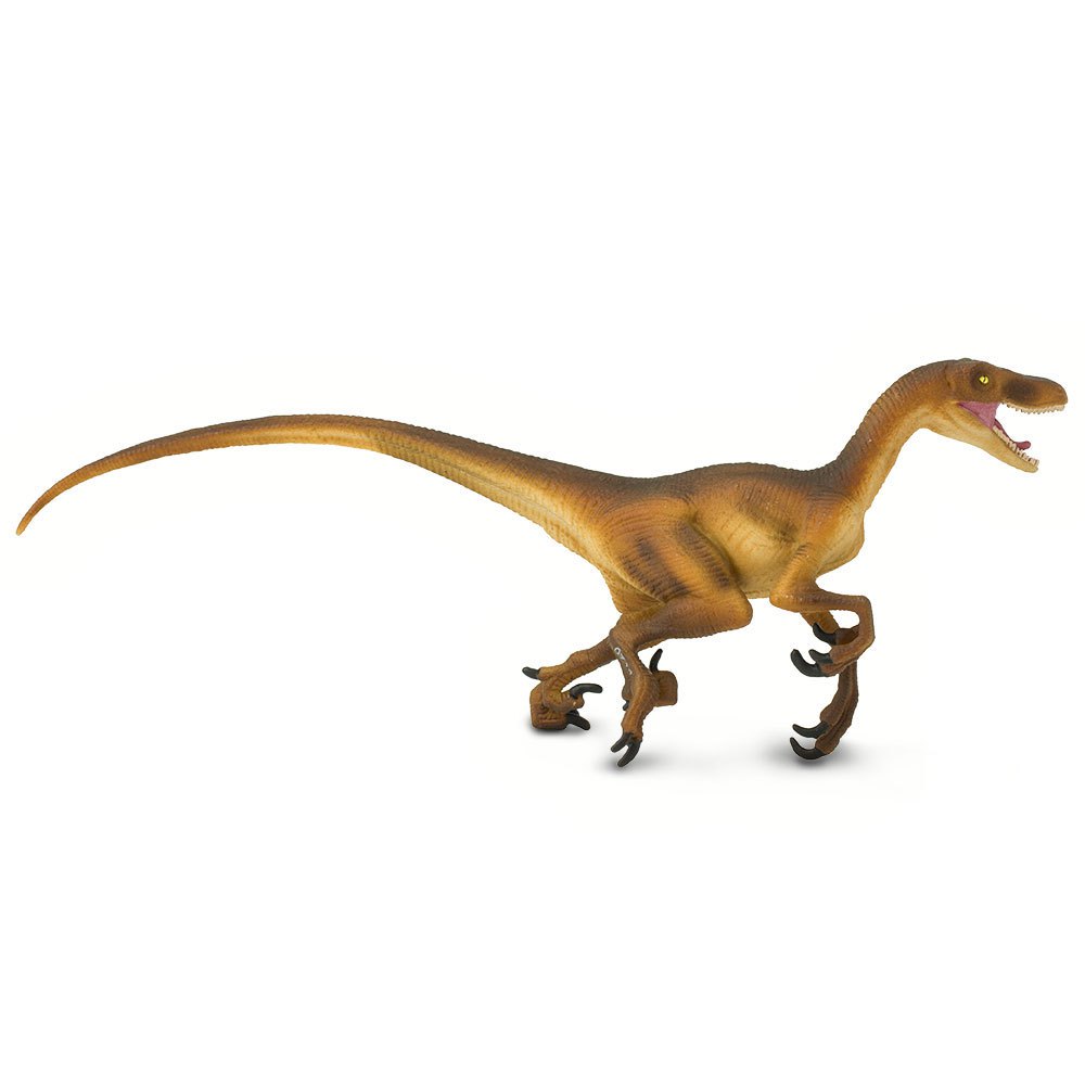 Velociraptor Wild Safari Dinosaur Figure Safari Ltd NEW Toys Collectibles Kids 