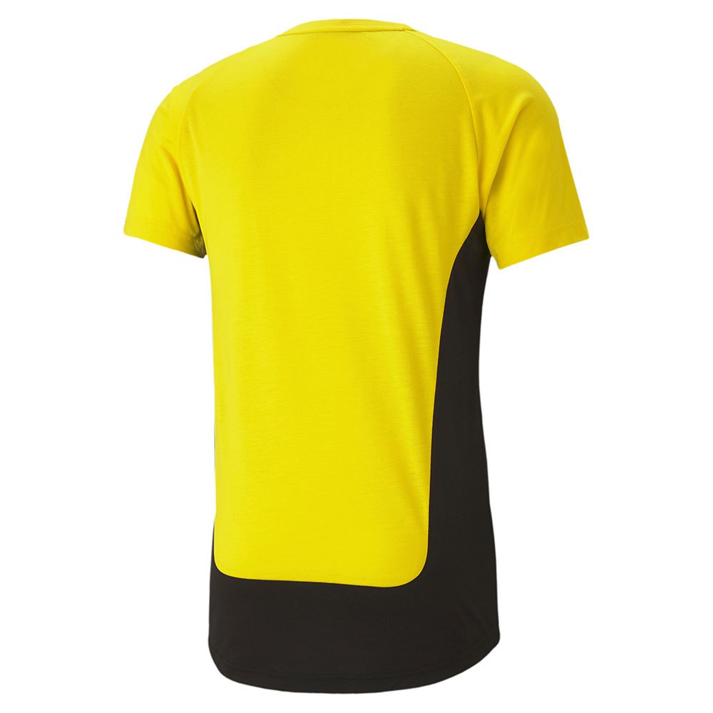 Puma Camiseta Borussia Dortmund Evostripe 20/21