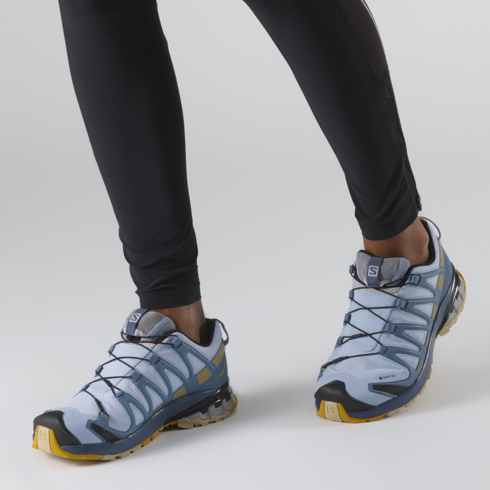 Salomon XA Pro 3D v8 Goretex Trail Running Shoes