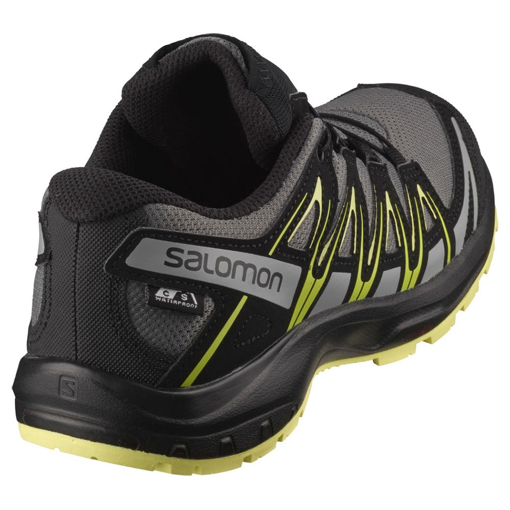 Salomon Sabates Trail Running XA Pro 3D CSWP