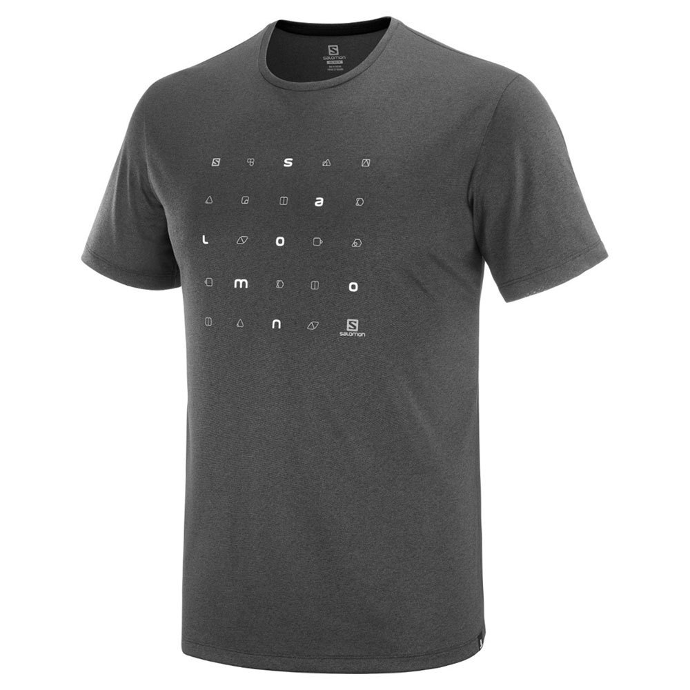 Salomon Agile Graphic short sleeve T-shirt