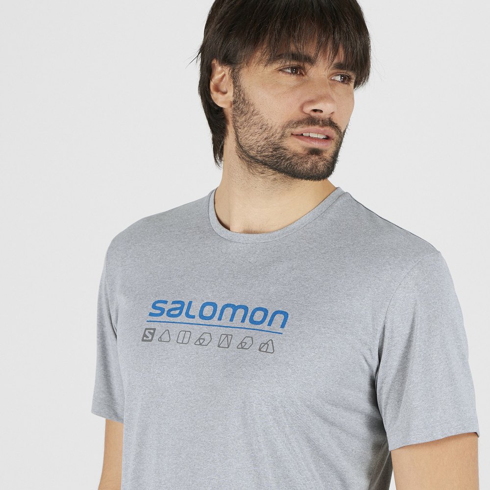 Salomon Agile Graphic Kurzarm T-Shirt