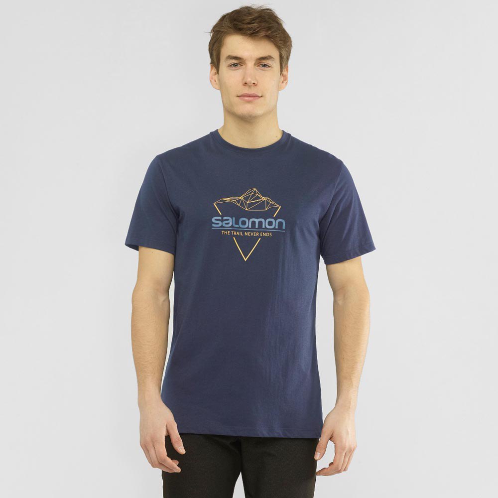 Salomon T-Shirt Manche Courte Blend Logo