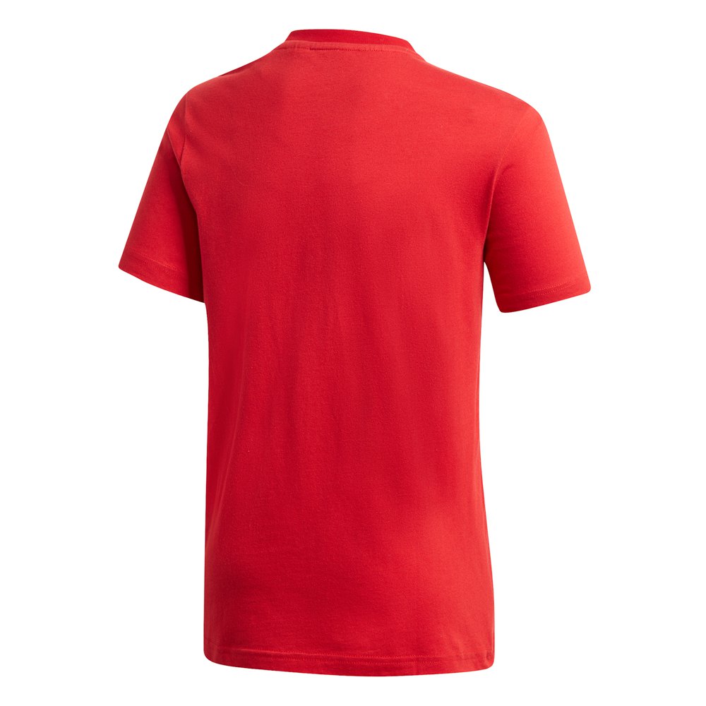 adidas FC Bayern Munich Graphic 20/21 Junior T-Shirt