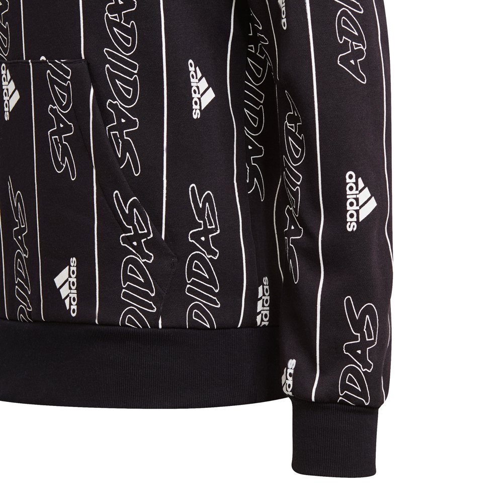 adidas Sweat À Capuche Must Haves Graphic Q3
