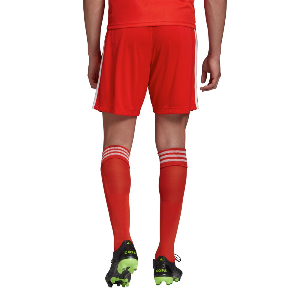 psychology Sprout select adidas Hertha Berlin SC Home 20/21 Shorts Red | Goalinn