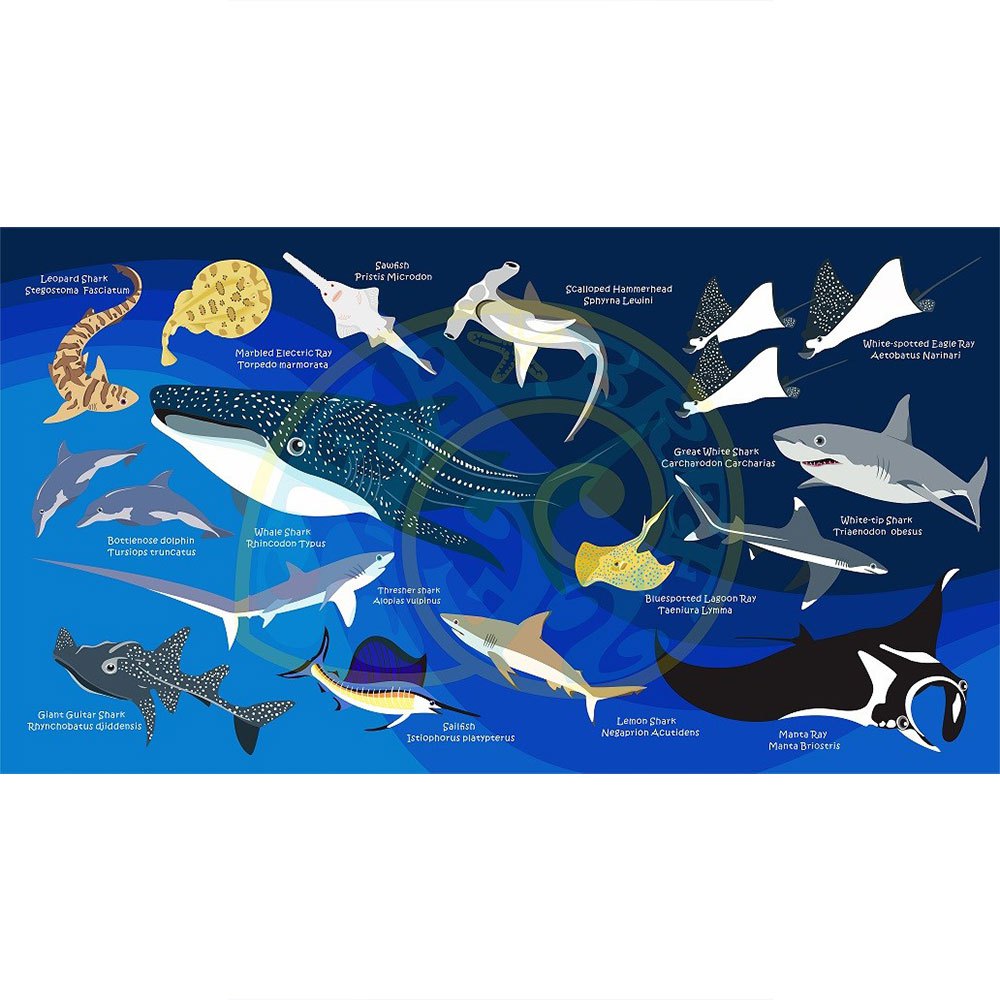 oceanarium-pyyhe-sharks---rays-l