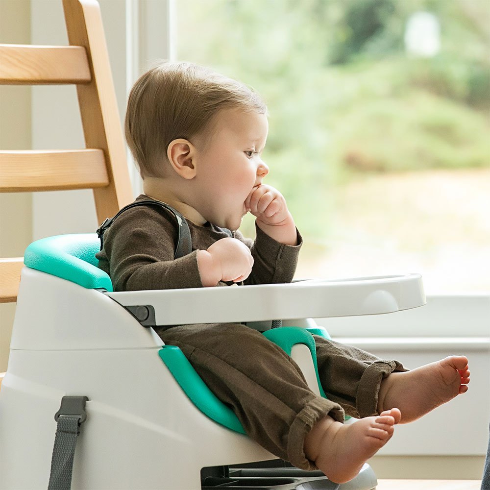 Ingenuity Baby Base 2in1 Baby-Sitzerhöhung Kindersitz Reisesitz mehrere Auswahl 