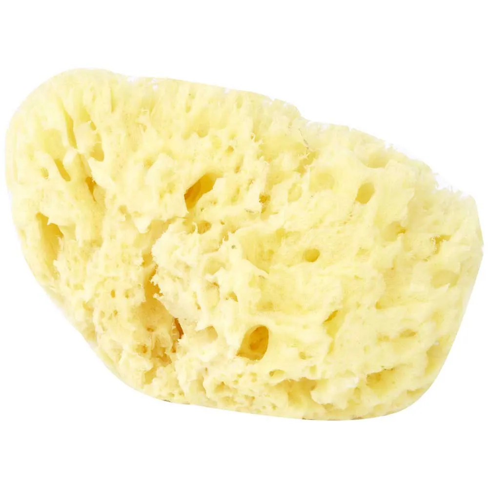 Bellini Arcipelago Mediterranean Sea Sponge Yellow | Kidinn
