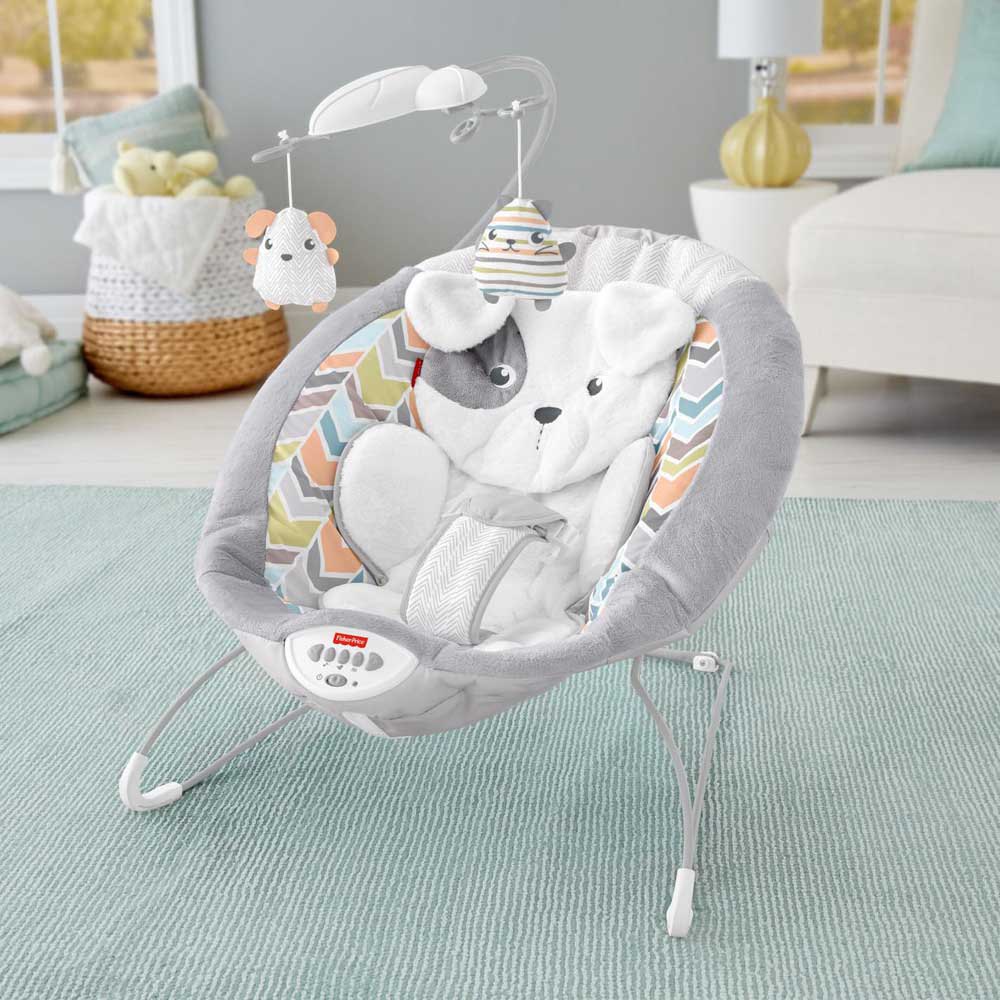 Fisher price Sweet Snugapuppy Deluxe Bouncer