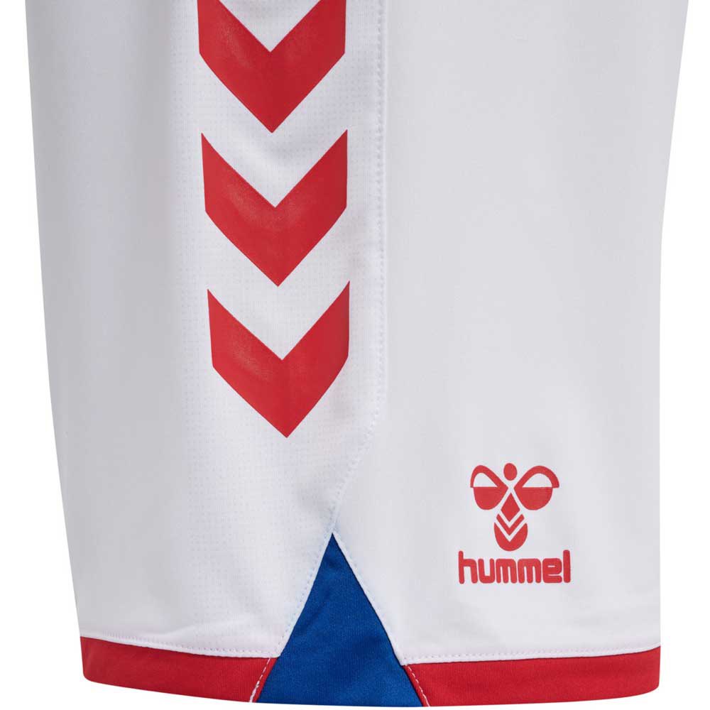 Hummel Accueil Dansk Boldspil-Union 20/21 Shorts