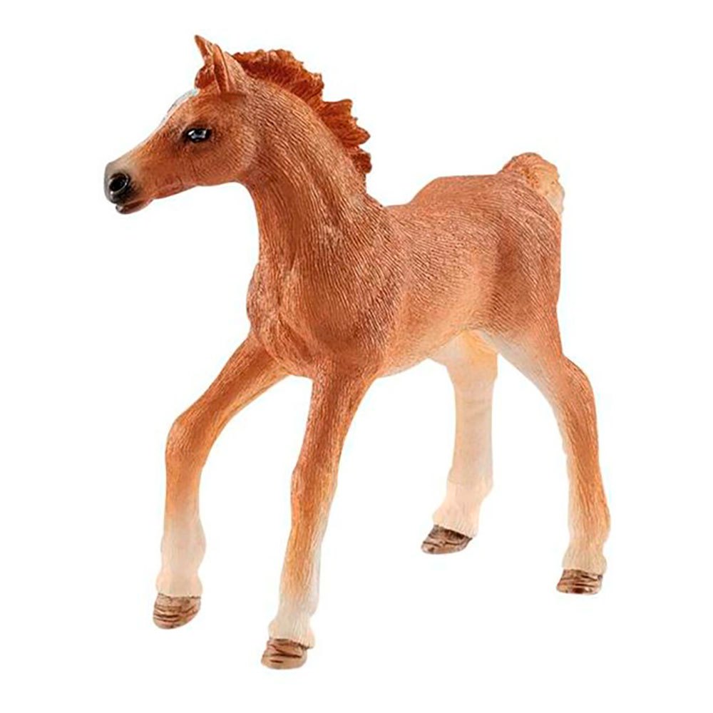 Schleich Horse Club Foal With Blanket Girl Bottle Baby 42361 Accessory Set 