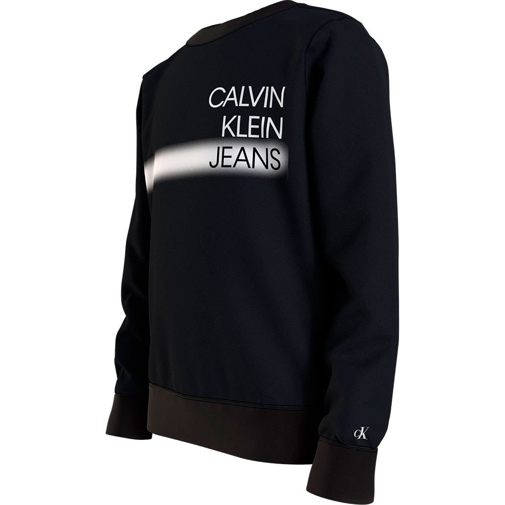 Calvin klein jeans Institutional Spray Bluza