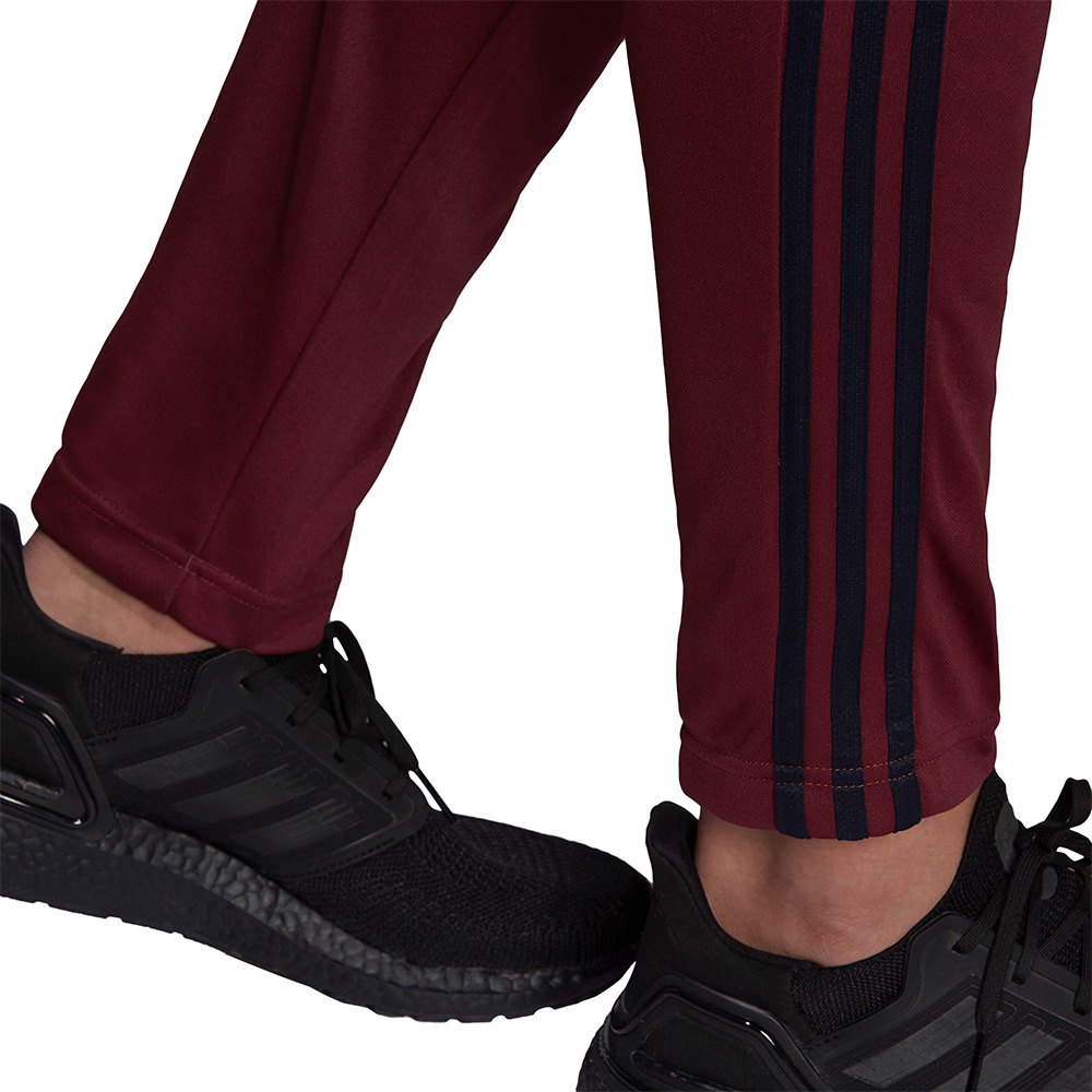 adidas Motion Tapered Track Suit
