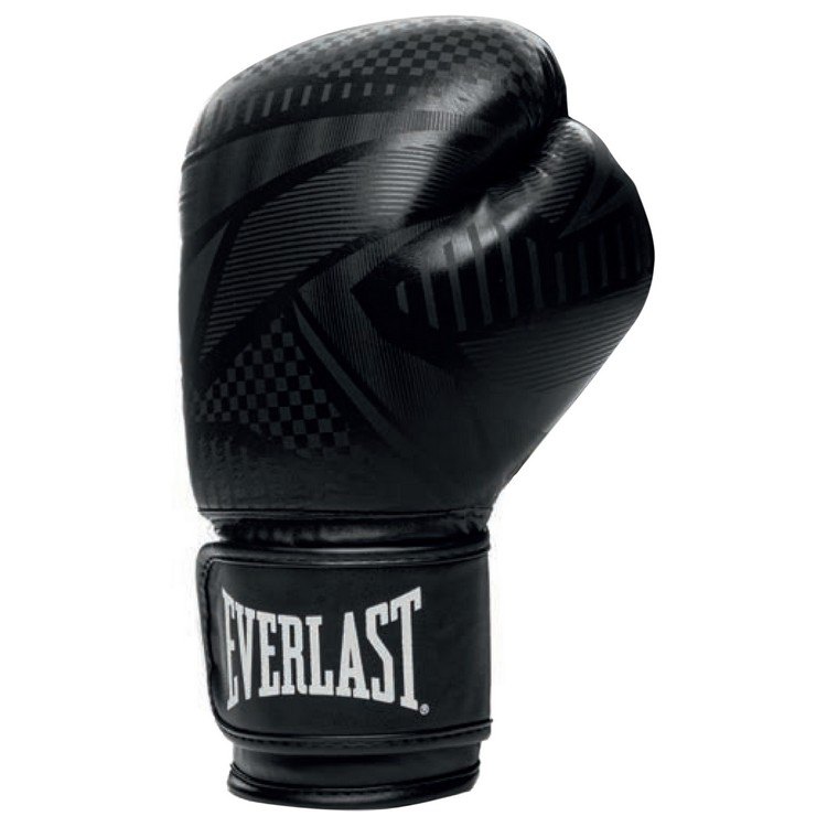 Everlast 10oz EX Training Boxing Gloves in Black On Black 