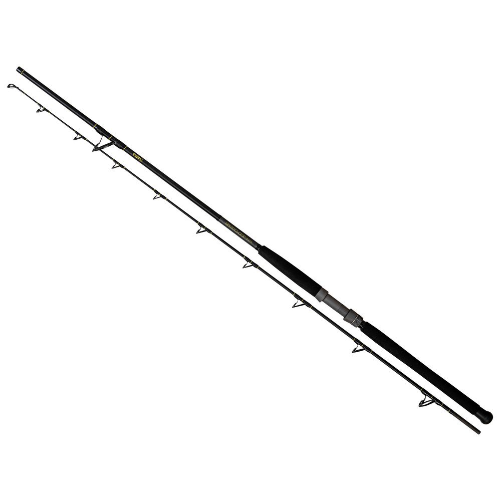 Black Cat Solid Bank Catfish Rod Black 2.90 M / 100-500 G