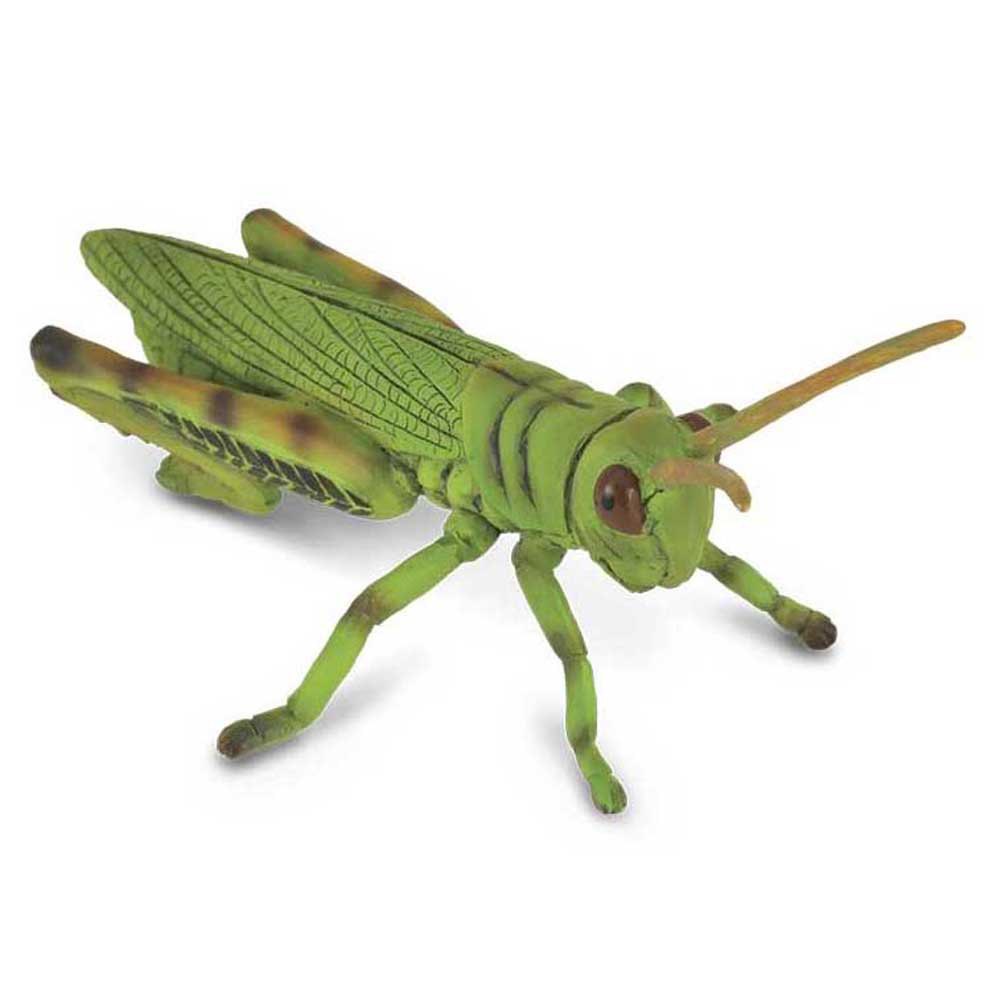 CollectA Grasshopper 