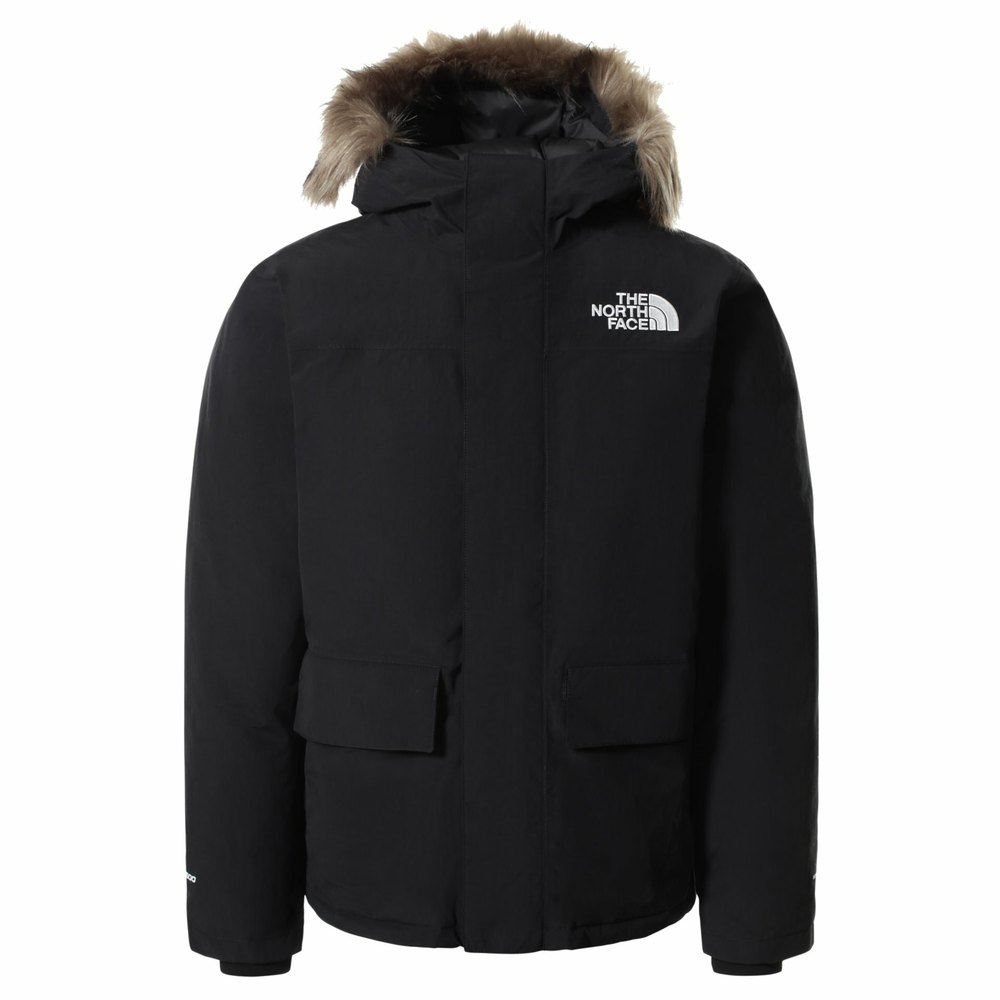 The north face The Arctic Parka