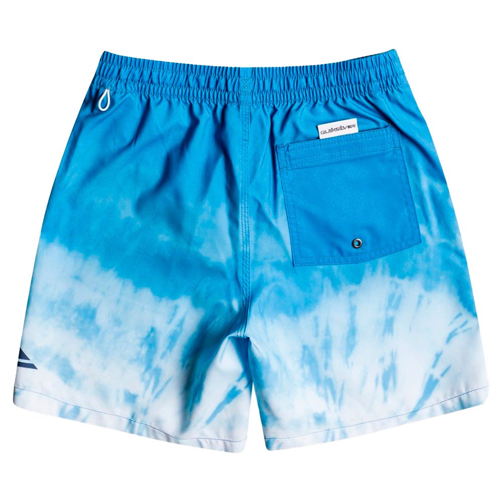Swim Shorts in Airy Blue Quiksilver Quiksilver Everyday Faded Logo 15" 