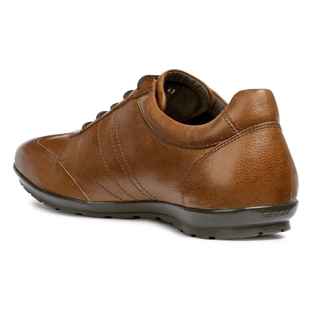 rebanada Sada sólido Geox Symbol Shoes Brown | Dressinn