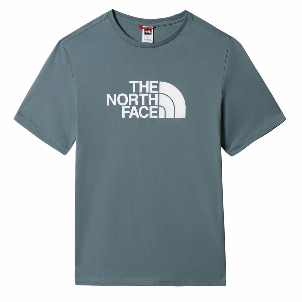Openlijk Dhr marathon The north face T-shirt The North Face Easy Blauw | Dressinn