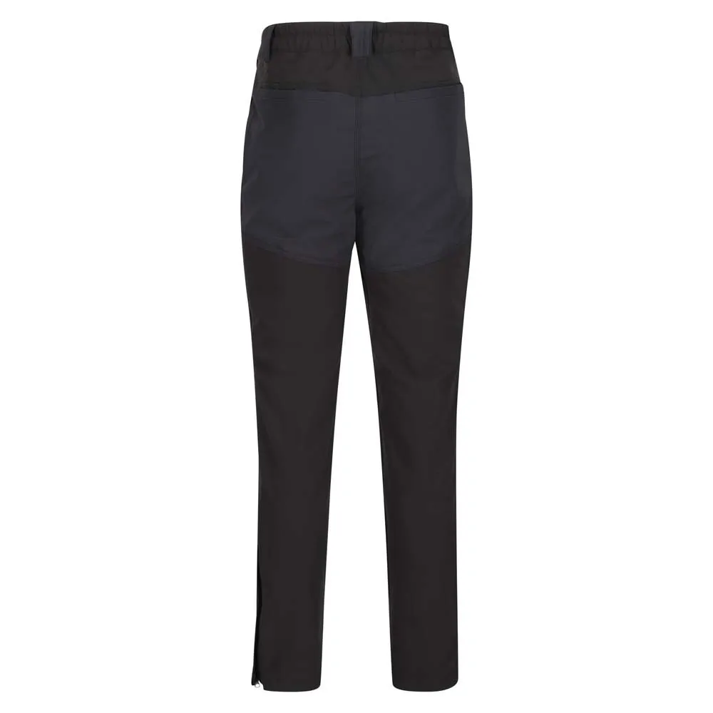 Regatta Sorcer Mountshtii Pants Mixte