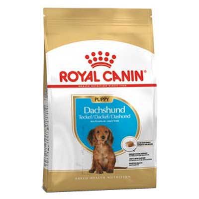 Royal canin Filhote De Arroz Vegetal Dachshund 1.5kg Cão Comida