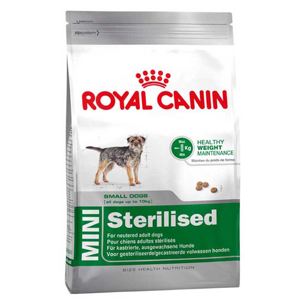 royal-canin-adulto-mini-sterilised-8kg-cao-comida