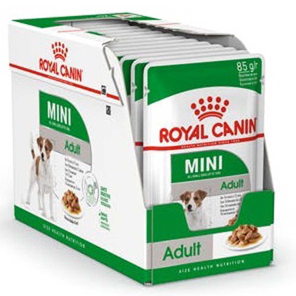 Aanvankelijk Overblijvend Subsidie Royal canin Mini Adult 85g Wet Dog Food 12 Units Multicolor| Bricoinn