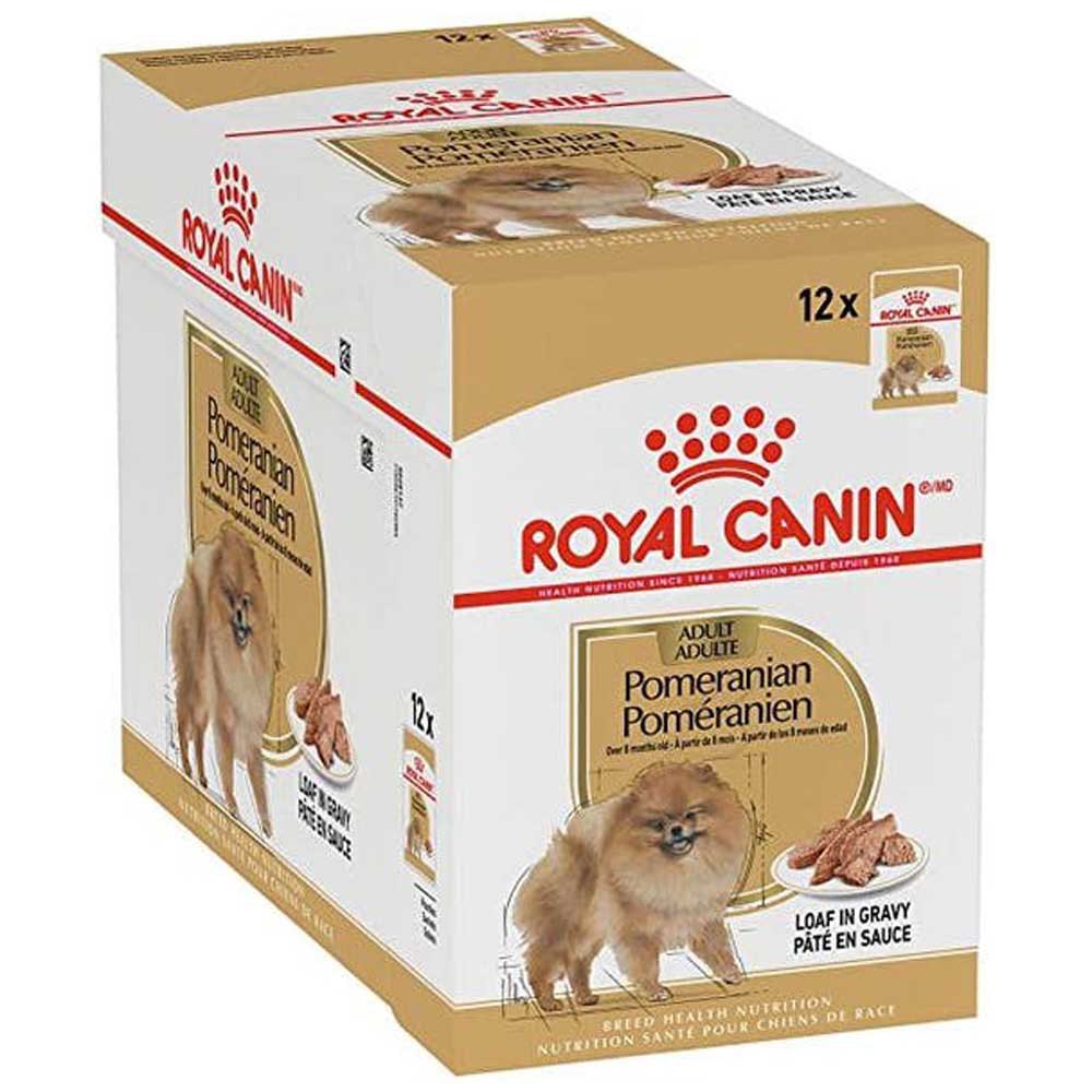 aspecto Nominación Desenmarañar Royal canin Comida Húmeda Perro Pomeranian Adult Paté 85g 12 Unidades  Multicolor| Bricoinn