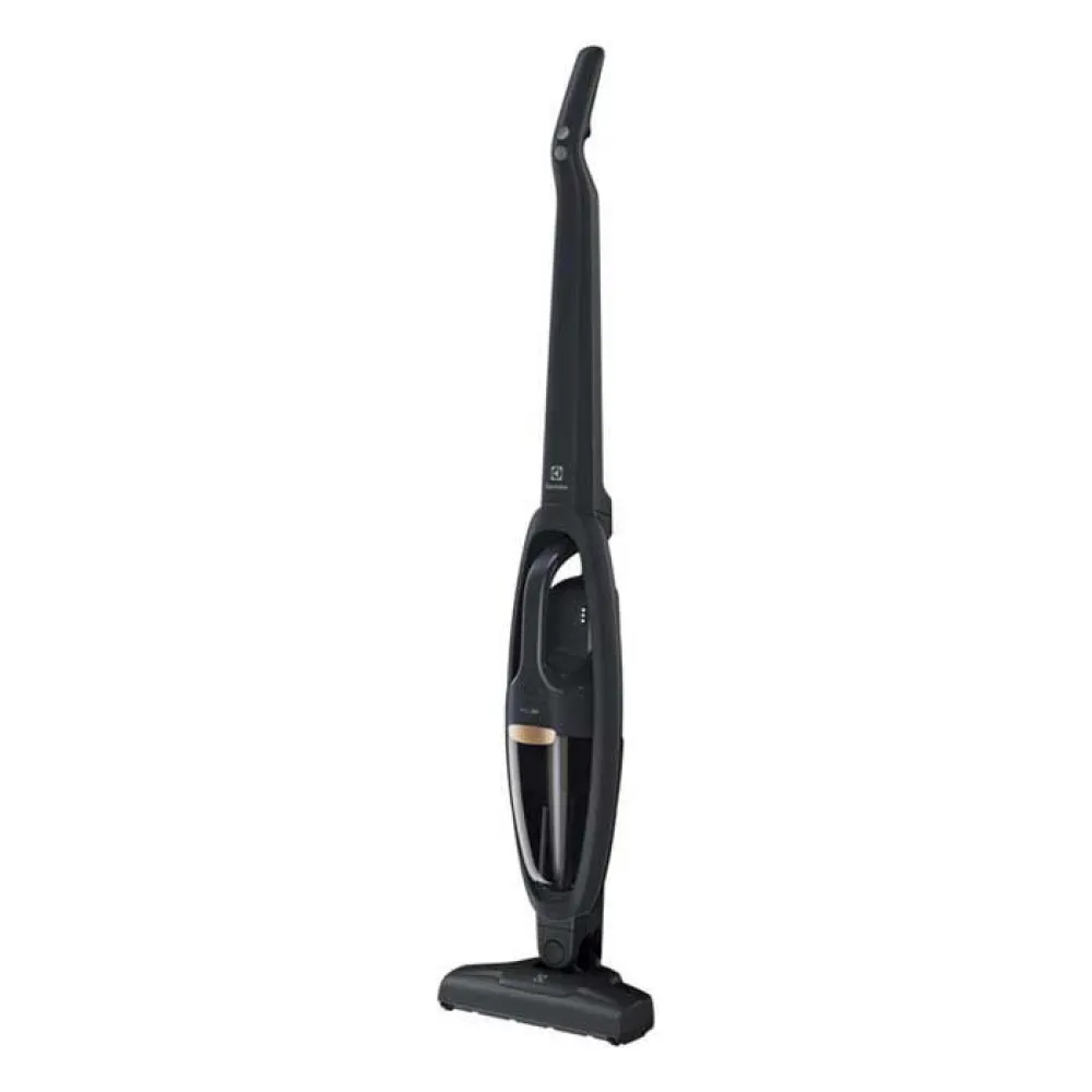 Electrolux WQ81ALRS Allergy Uv Well Q8 Cordless Vacuum
