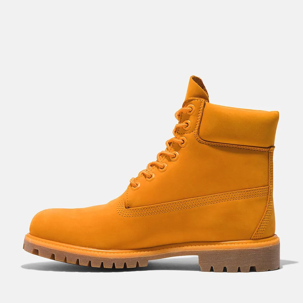 Timberland 6´´ Premium boots Yellow | Dressinn