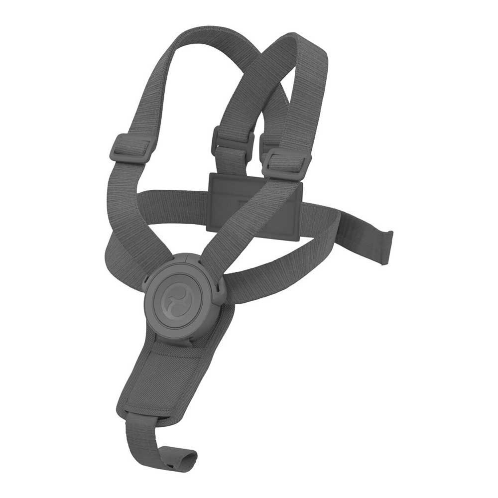 cybex-lemo2-harness-highchair