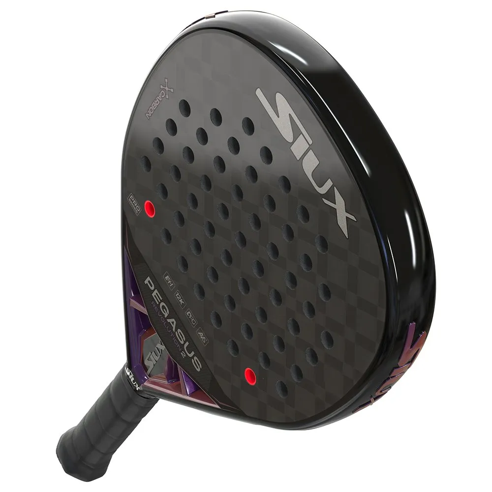 Siux Silver Racket Siux Pegasus revolution 2 padel racket Silver | Smashinn