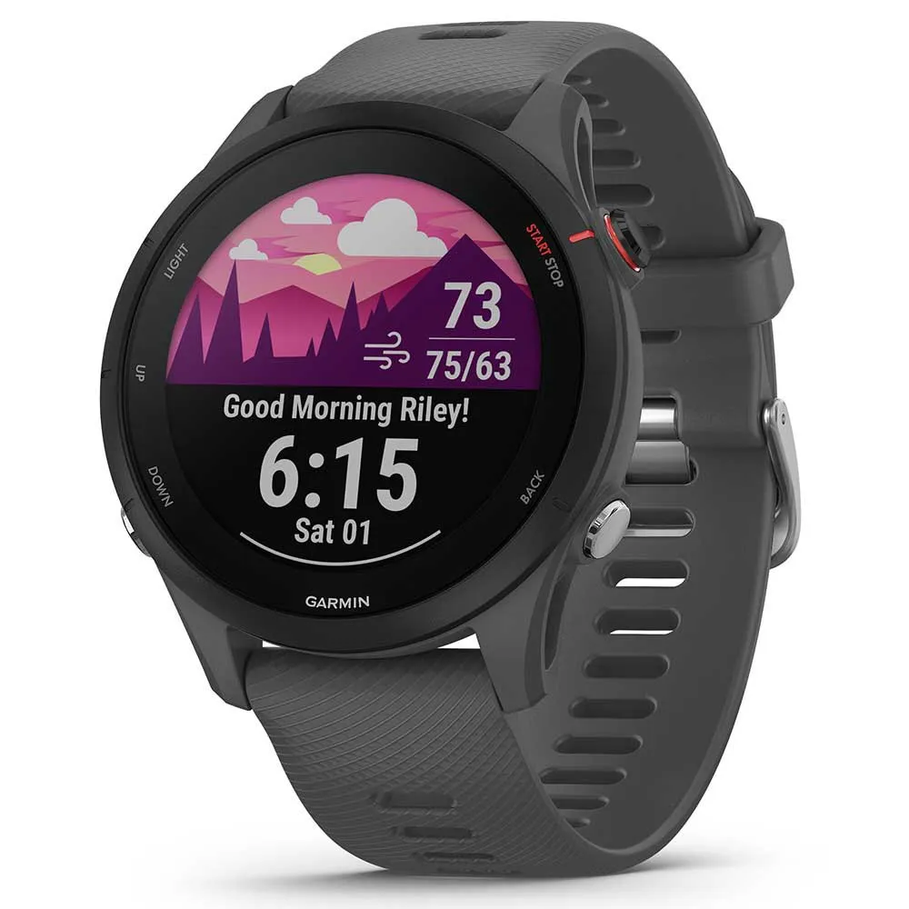 Garmin Reloj Forerunner 255 Basic reacondicionado グレー| Bikeinn 