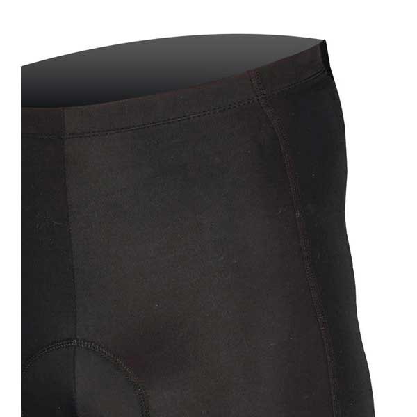Endura 6-Panel Bib Shorts