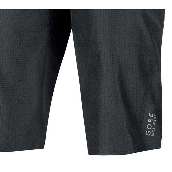 GORE® Wear Alp-X 3.0 Goretex Active Shell Shorts