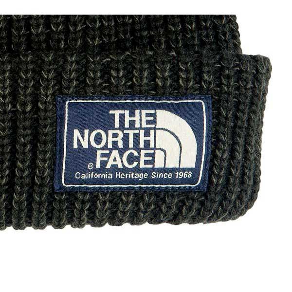 The north face Salty Dog Hoed