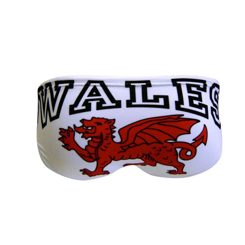 Turbo Slip Costume Wales Dragon