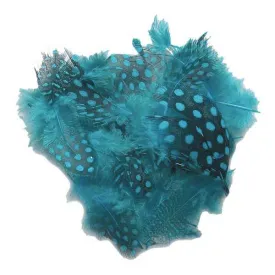 evia-guinea-hen-veer