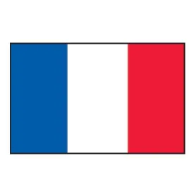 lalizas-flag-fransk
