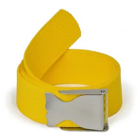 best-divers-whale-belt