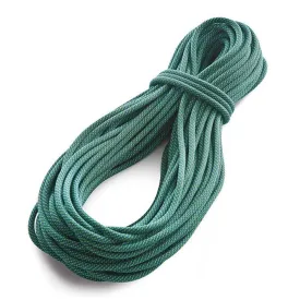 tendon-master-9.4-mm-standard-rep