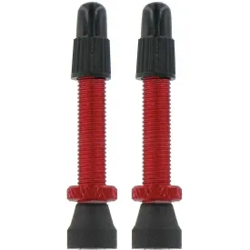 var-2-alloy-presta-valves